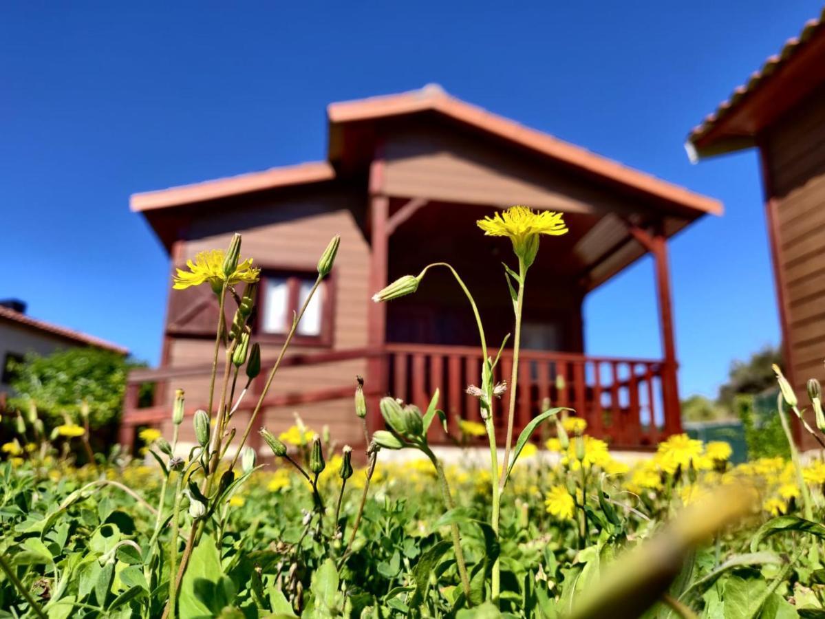 Camping Bungalow Serra De Prades Resort Vilanova de Prades ภายนอก รูปภาพ